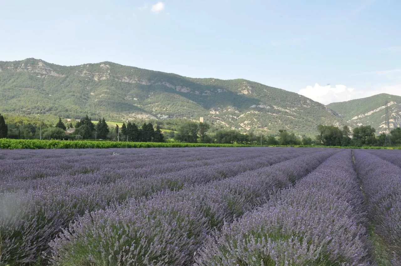 Gites Du Chateau D'Alencon Le Pegue 0*,